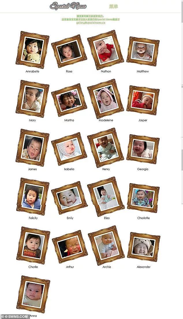 杨天宝有救了!星二代狂赚260万 就靠帮中国人