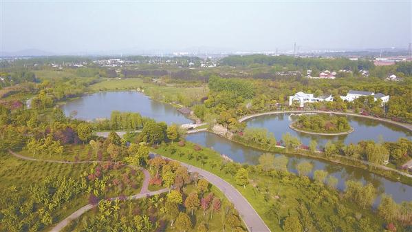 板桥生态园春意盎然.