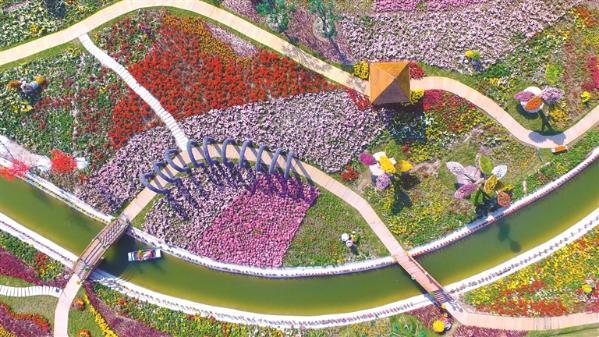 盐都台创园:精心描绘花卉富民新画卷