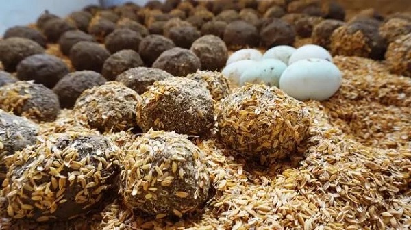 看风味人间去崇明尝一次皮蛋达人的黄金皮蛋