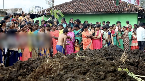 印度村庄迎"泼粪节" 村民:牛粪无害还能治病