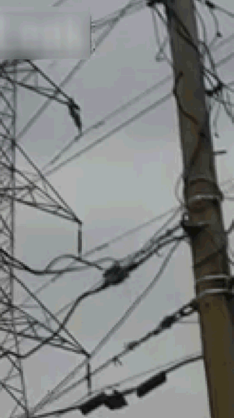 337_600竖版 竖屏gif 动态图 动图
