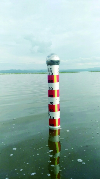 岱海水位标尺 两个月增40厘米