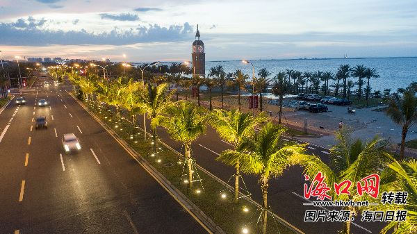 亮化绿化带海口西海岸迷人