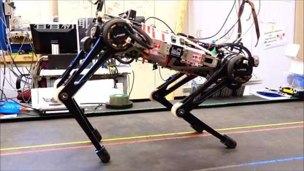 厉害了mit开发盲眼机器人爬楼梯翻障碍全无难度
