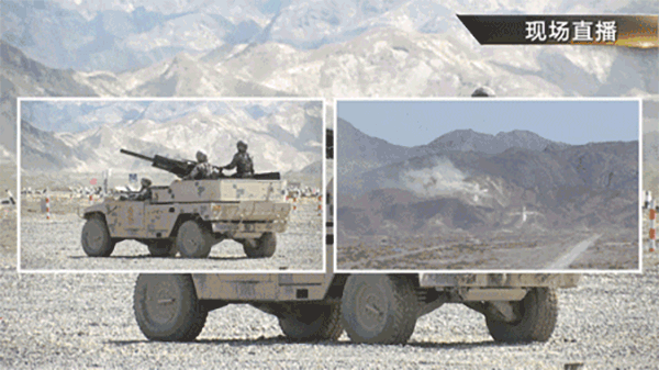 600_337gif 动态图 动图