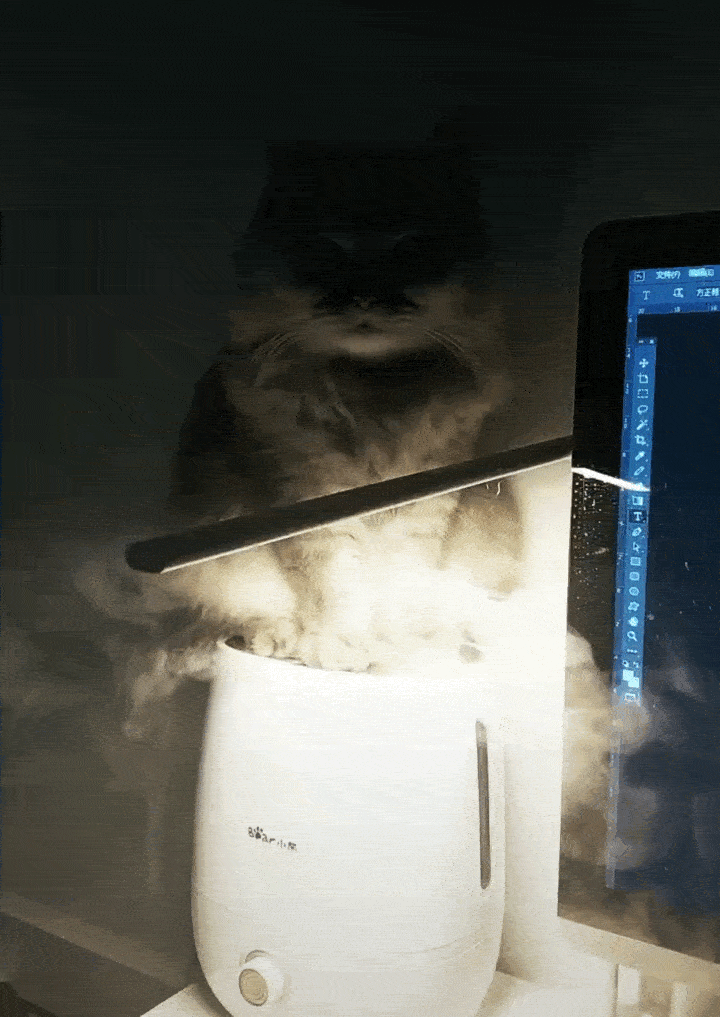 720_1017竖版 竖屏gif 动态图 动图