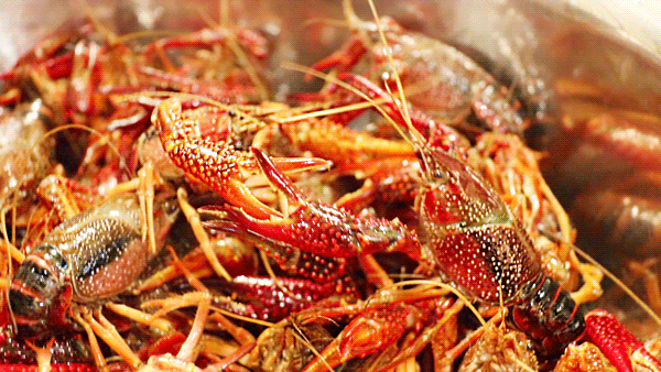 一口入魂的潜江龙虾买一送一这家开到凌晨3点的撸虾圣地就问你敢不敢