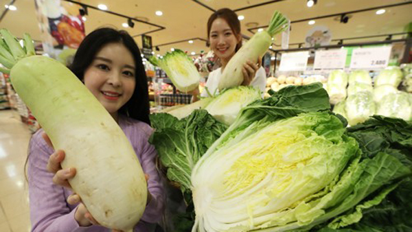 韩国白菜:韩国大白菜34元一颗 韩媒:简直是吃金菜 资料图(韩联社)