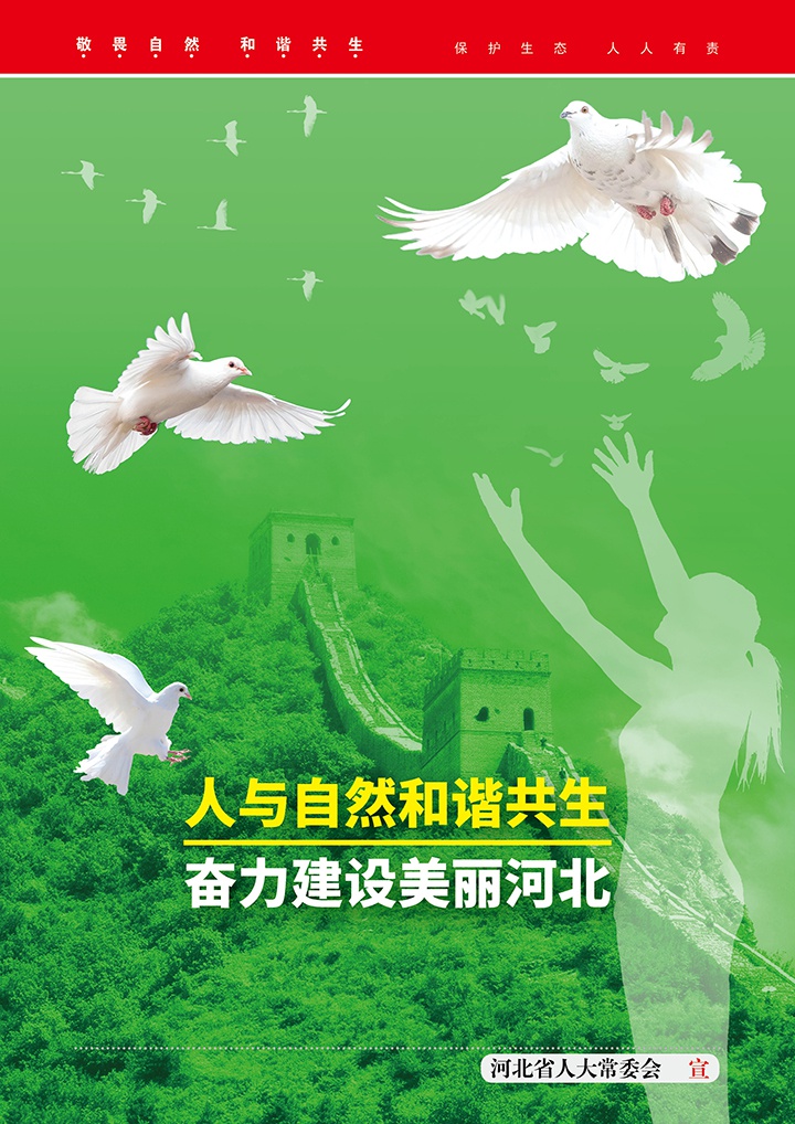 敬畏自然和谐共生系列海报