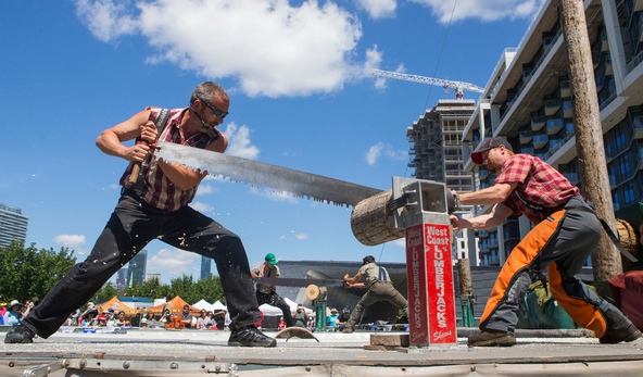 在加拿大多倫多，伐木工在活動中展示雙人使用手鋸鋸樹幹。