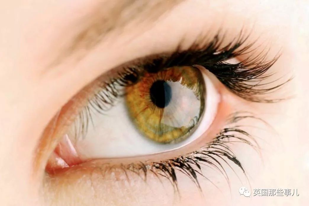 褐色眼睛(hazel eyes)c罗.jb.杰西卡.阿尔