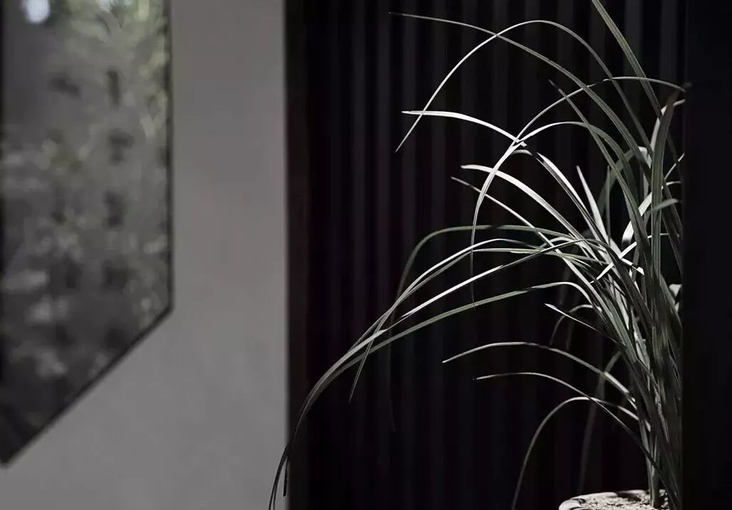 庄子:人生态度不强加于人