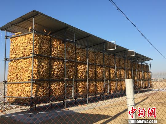 从趴地到上楼黑龙江农户小粮仓让秋粮颗粒归仓增收16亿元