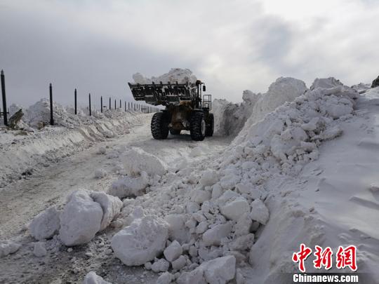 青海启动雪灾Ⅲ级救灾应急响应 青海启动雪灾Ⅲ级救灾应急响应