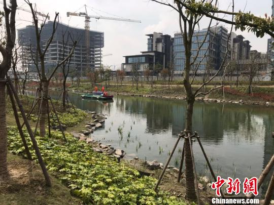 2020股市大v影响力排行9_2020年品牌影响力排行榜:大众、丰田称霸!