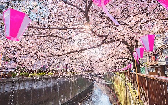 全球最大星巴克烘焙工坊在东京开业,店面位于