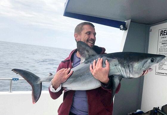 这5人一天钓到20头鲨鱼