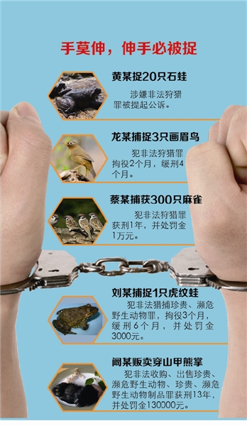 石蛙,虎纹蛙,画眉鸟,麻雀…… 这些野生动物不能随便捉!