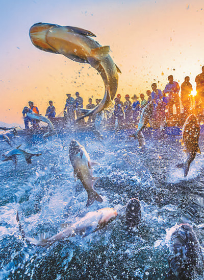 共庆丰年 分享喜悦|捕鱼|丰年|农民_新浪新闻