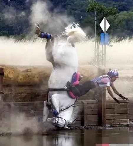 死亡前一刻拍下的照片,你敢看到最后吗!