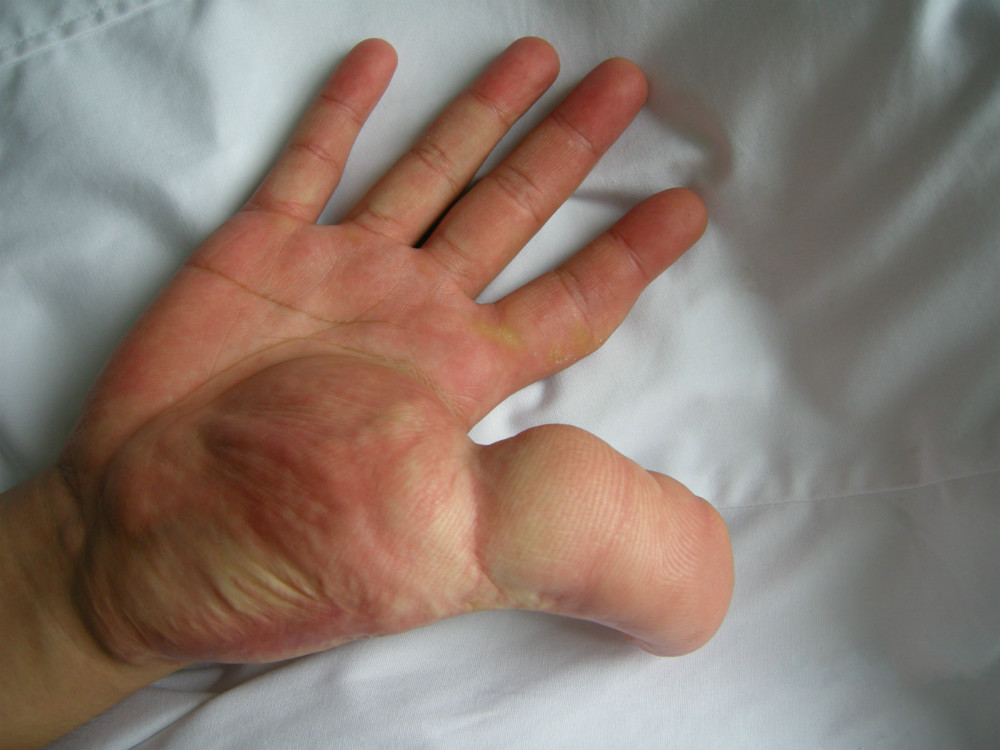 【《2017江苏新诗年选》初选稿32】 朱庆和:《桂花树》等6首