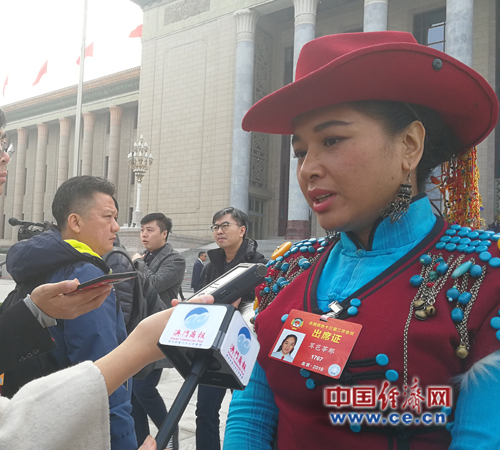 茸芭莘那委员:重视少数民族地区脱贫攻坚期的