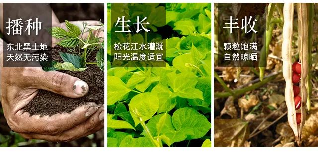 超纯红豆薏米粉,2小勺粉=1斤原粮,每天一杯轻松祛湿减肥