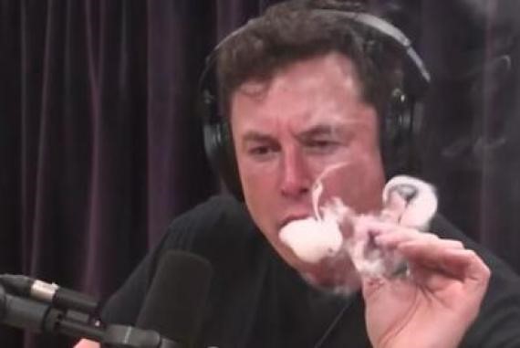 次私人绕月旅行会否有去无回?前泽友作:信任马斯克