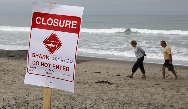 美国加利福尼亚州奥兰治县的圣克利门蒂海滩,"鲨鱼出没,禁止入海"的