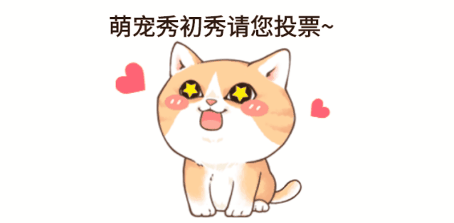 投票萌化心灵的萌宠秀初秀开始了快给可爱的小家伙们投票吧