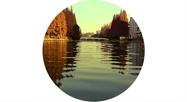 衡山路|迪士尼|地标_新浪新闻