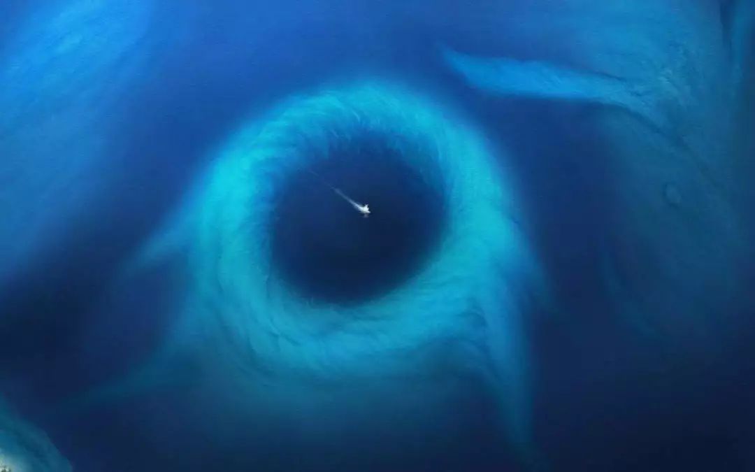 微生物|深渊|马里亚纳海沟_新浪新闻