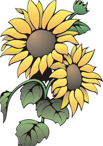 新时代共青团工作要做到三个必须