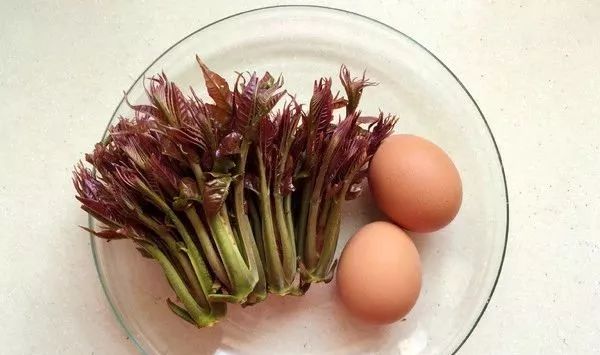 香椿炒鸡蛋春天必吃美食赶紧学起来吧