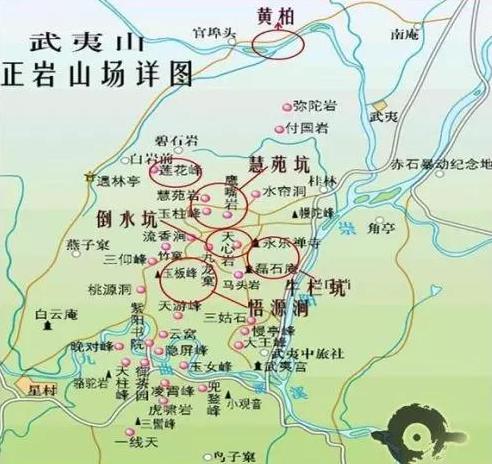 世界饮品中国造②武夷岩茶斗的是山场还是工艺