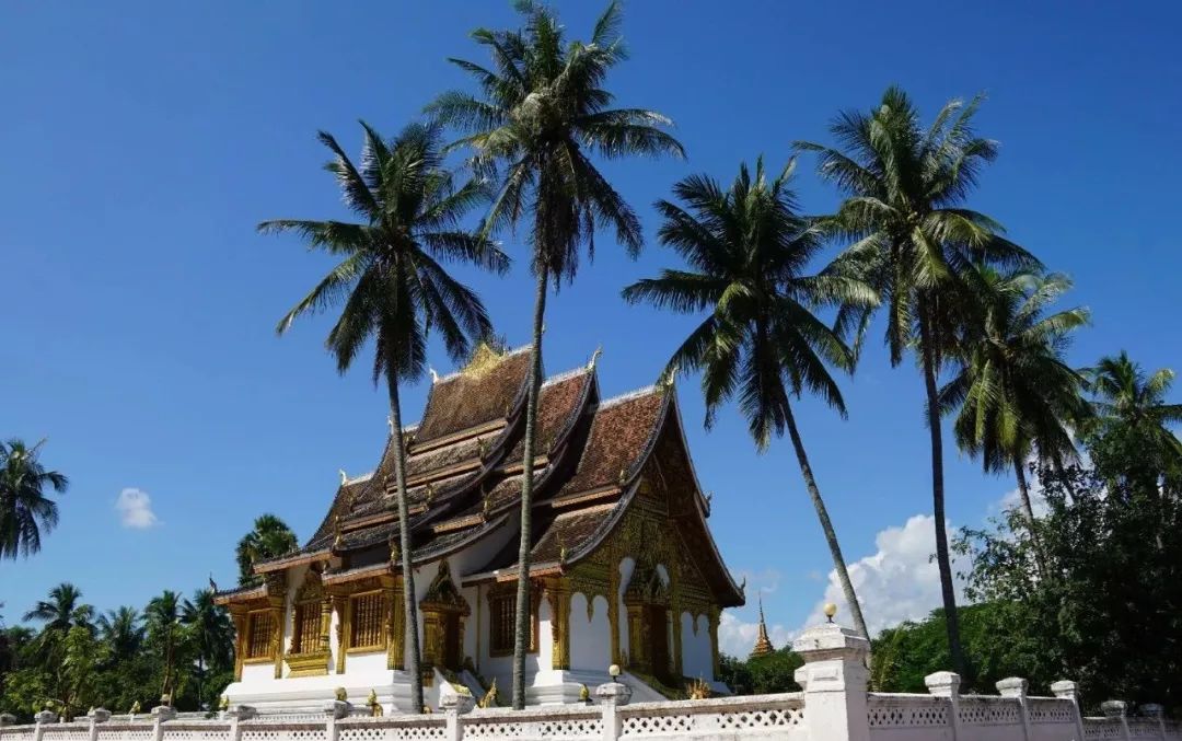 瓦普神庙建筑群的年代比吴高窟还古老你没见过的老挝10大美食!美味!1.