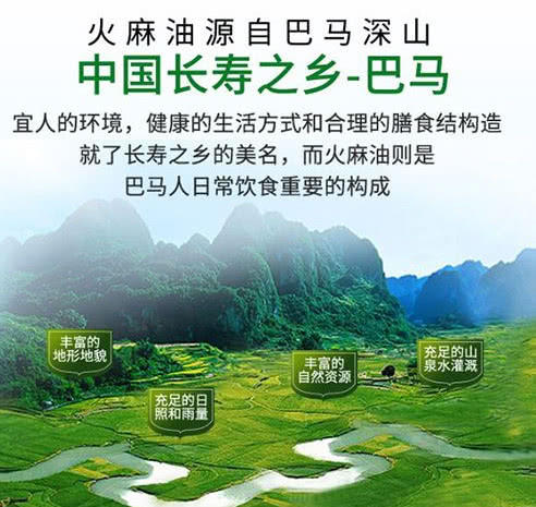 走进香猪世界：巴马香猪的魅力