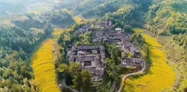 这才是福州的踏秋圣地,一到秋天美到窒息!赶紧来打卡~|永泰|永泰县|梧桐镇_新浪新闻