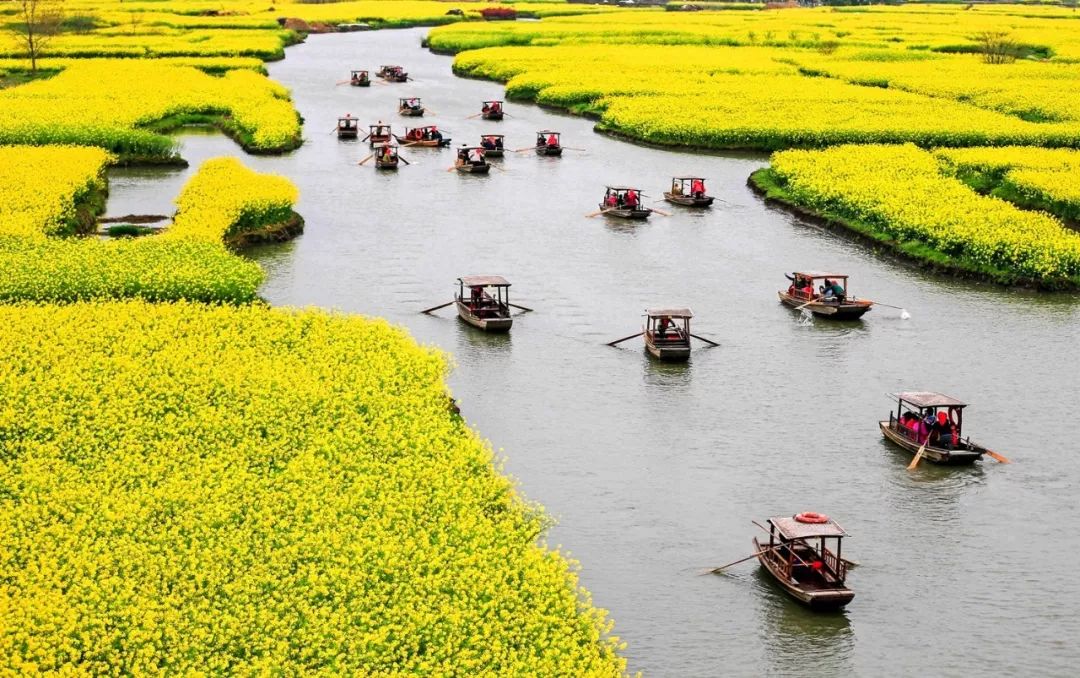 沼泽洼地土地利用模式:江苏兴化垛田传统农业系统|兴化_新浪新闻