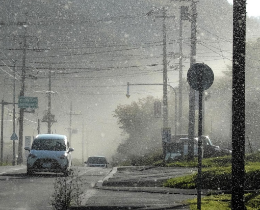 日本北海道雪虫肆虐似 雪花 专家 没准台风闹的 手机新浪网