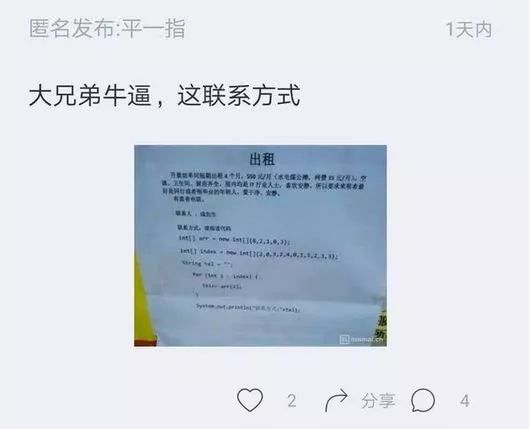 程序员用代码写合租广告,网友神评亮了__