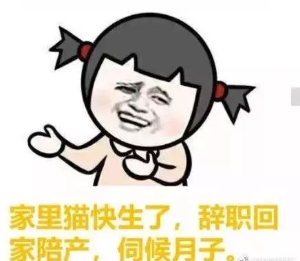 就你这点钱我很难给你办事啊老子辞职了