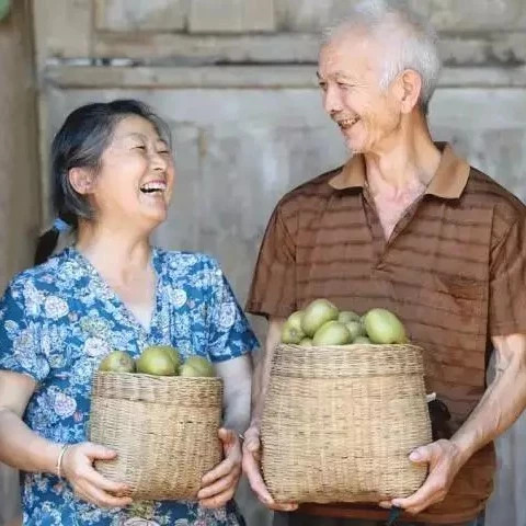 你知道怎么让猕猴桃快速变软,还不腐烂变质吗