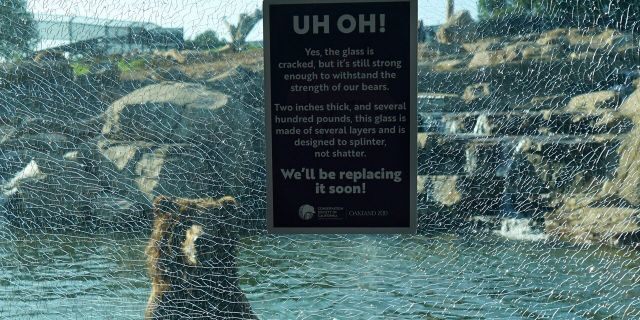 动物园内贴出的告示（图片来源：福克斯新闻网）