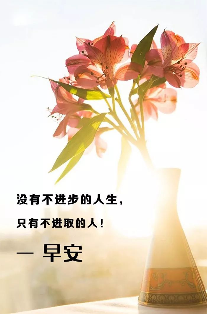 致努力奋斗的你