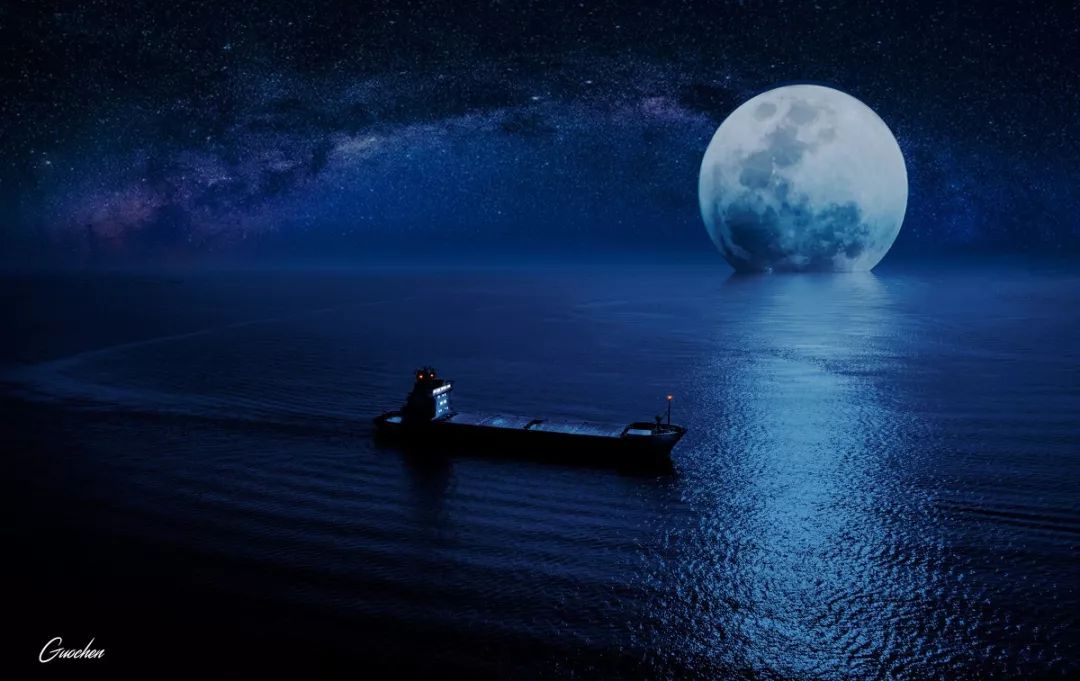 当我和鲸鱼并行时我在想些什么