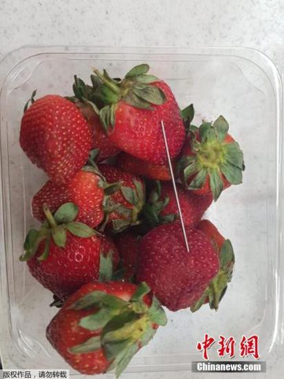 资料图：2018年，澳大利亚六家超市发生多起草莓遭人恶意插针事件。图为昆士兰州格拉斯顿的一家超市内的草莓商品内，被人恶意放入一根钢针。