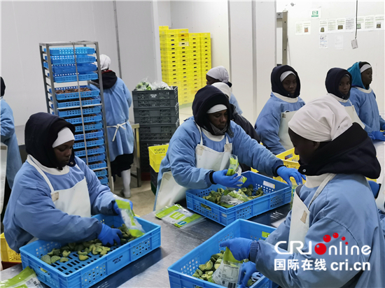 肯尼亚牛油果进入中国“购物车” 进博会打开中国市场