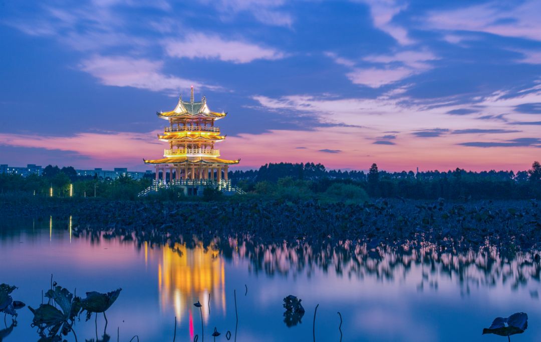 美哒哒水景星光绿意深藏东莞这个水乡小镇